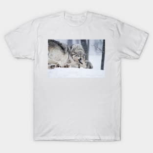 Timber Wolves T-Shirt